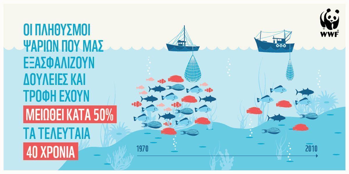 Έρευνα αποκαλύπτει: 50% της θαλάσσιας ζωής έχει εξαφανιστεί! 3 WWFInfographic2