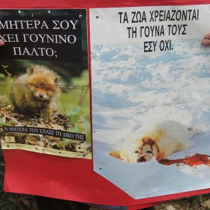 GounaDiamartyriaExpoAthens26 3 2011 16