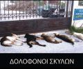 Συγκέντρωση διαμαρτυρίας στις 17 Απριλίου για τις δολοφονίες ζώων με φόλες στο Πόρτο Ράφτη Αττικής