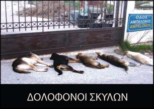 Συγκέντρωση διαμαρτυρίας στις 17 Απριλίου για τις δολοφονίες ζώων με φόλες στο Πόρτο Ράφτη Αττικής