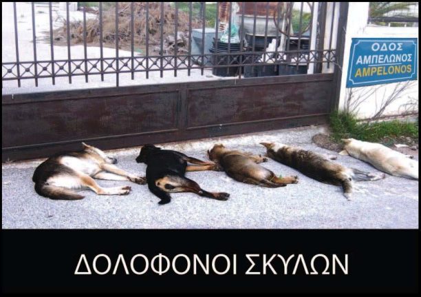 Συγκέντρωση διαμαρτυρίας στις 17 Απριλίου για τις δολοφονίες ζώων με φόλες στο Πόρτο Ράφτη Αττικής