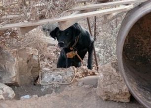 Οι πεζοπόροι είδαν με τα μάτια τους τη φρίκη των βαρελόσκυλων στο Ηράκλειο Κρήτης