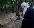 Ο αρχιεπίσκοπος ταΐζοντας τα ζωντανά στο Κιλκίς