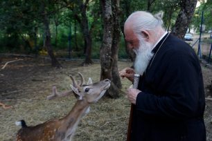 Ο αρχιεπίσκοπος Ιερώνυμος συμπαρίσταται στους φιλόζωους