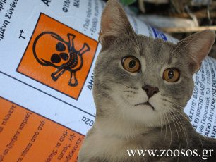 Ρόδος: Δολοφόνος ζώων ζητούσε πιο αποτελεσματική φόλα από το Λανέιτ για να εξοντώσει αδέσποτες γάτες