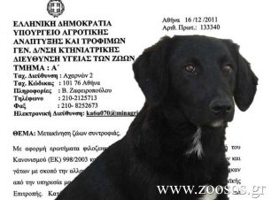 Ελεύθερη και νόμιμη η διακίνηση ζώων συντροφιάς εντός Ελλάδας