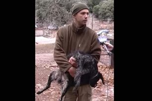 Πάτρα: Μοναχός σκότωσε με καραμπίνα σκύλο για να μη φάει τις κότες (βίντεο)