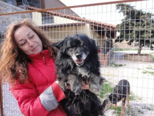 Εγκατέλειψαν τον σκύλο τους σε πανσιόν στην Κερατέα Αττικής και εξαφανίστηκαν
