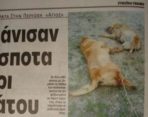 Άγιος Εύβοιας: Σκότωσε δύο σκυλιά & πολτοποίησε τα κεφάλια τους σέρνοντας τα!