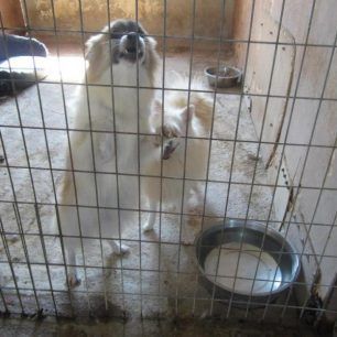 MarathonasEktrofeio2012 1