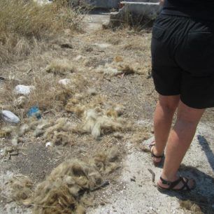 MarathonasEktrofeio2012 10