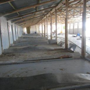 MarathonasEktrofeio2012 2