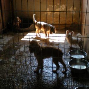 MarathonasEktrofeio2012 9