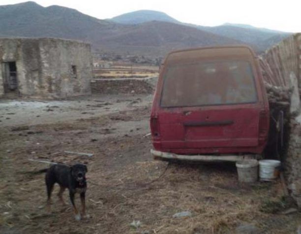 Βελτιώθηκε κάπως η κατάσταση του παριανού «βαρελόσκυλου»