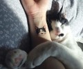 Ιδέες για τατουάζ μόνο για φανατικούς λάτρεις της γάτας