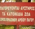 Όταν ο Άρειος Πάγος «παρανομεί»… εις βάρος των ζώων