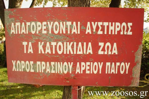 Όταν ο Άρειος Πάγος «παρανομεί»… εις βάρος των ζώων