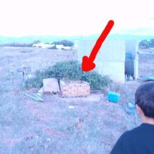 Πυροσβέστες απεγκλώβισαν γάτα από πηγάδι στον Αμπελά της Πάρου 1 ParosAmpelasPigadiPyrosvestes2 11 2021 2