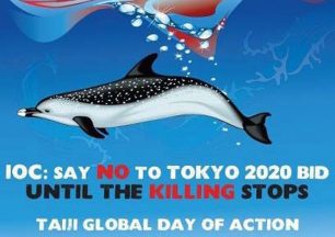 Παγκόσμια διαμαρτυρία για την εξόντωση δελφινιών και φαλαινών από τους Ιάπωνες