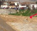 Διέσωσαν τον σκύλο μέσα από το ποτάμι στον Τύρναβο (βίντεο)