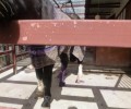 Ηράκλειο Κρήτης: Αφήνουν τ’ άλογα να σαπίζουν μέσα στον στάβλο