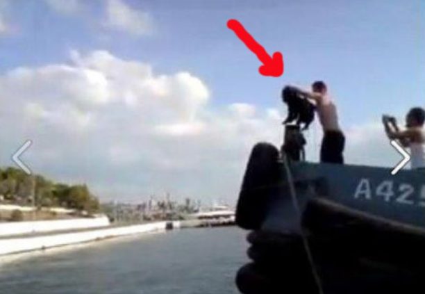 Κακοποιούσε σκυλιά πάνω σε πλοίο του Πολεμικού Ναυτικού κατά τη διάρκεια της θητείας του (βίντεο)