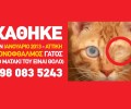 Έχασε τον μονόφθαλμο γάτο του στην Αγία Παρασκευή Αττικής