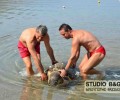 Ναύπλιο: Άλλη μια θαλάσσια χελώνα νεκρή