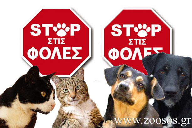 Κορινθία: Διαμαρτυρία στο Κιάτο 3 Αυγούστου για τη συστηματική δηλητηρίαση αδέσποτων και μη ζώων με φόλες