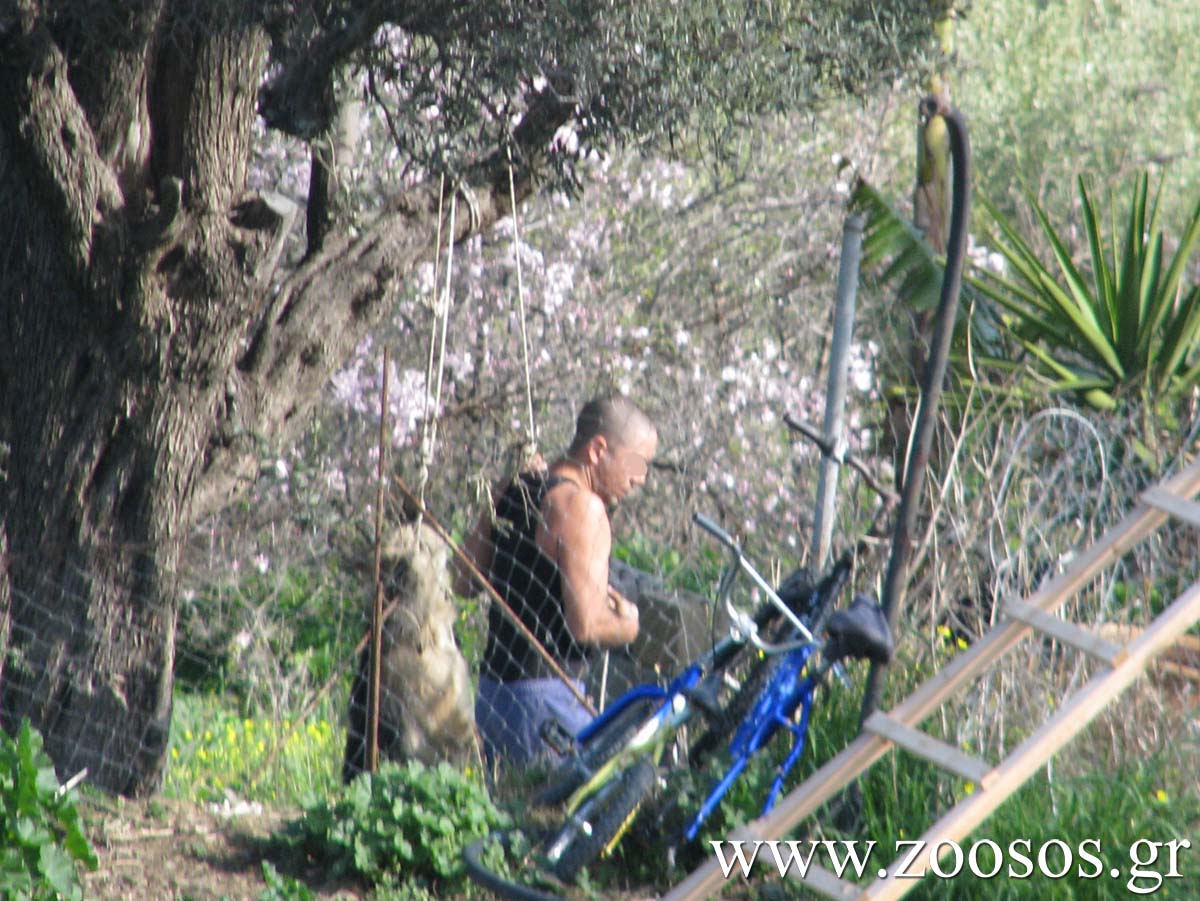 Καταδικάστηκε με αναστολή ο άνδρας που έπνιξε τον σκύλο του στην Μεσσαρά Ηρακλείου Κρήτης το 2012 1 MessaraKremasmenosSkylos