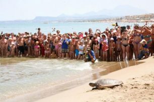 Ρέθυμνο: Η θαλάσσια χελώνα «Ελευθερία» απελευθερώθηκε μετά από έναν χρόνο νοσηλείας