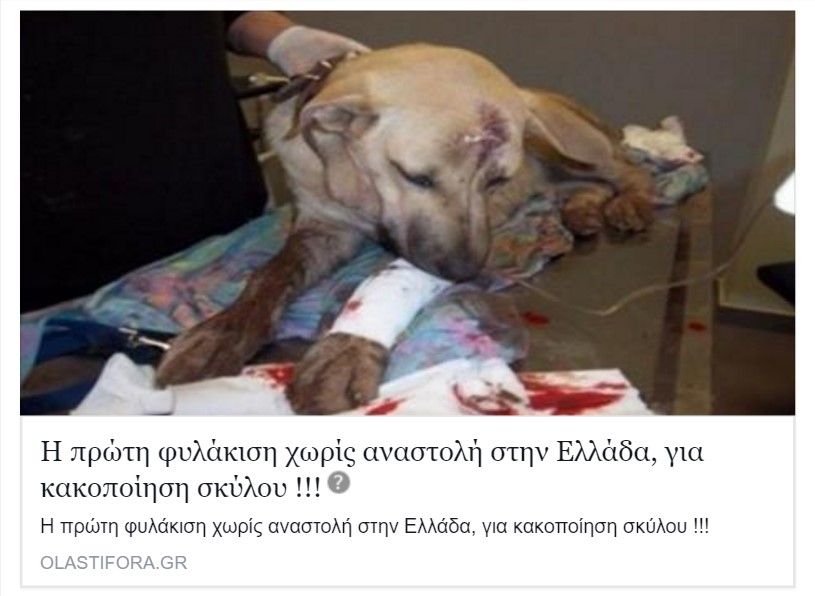 Η ποινή ήταν εξαγοράσιμη δεν φυλακίστηκε ο δράστης που έσερνε τον σκύλο στην Κάτω Καμήλα Σερρών 10 KamilaSerronOlastiFora