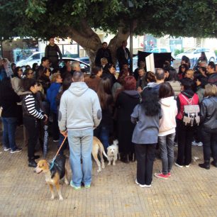 Διαμαρτυρήθηκαν για την εξόντωση των αδέσποτων στους Αγίους Θεοδώρους 3 AgioiTheodoroiKorinthiasDiamartyria26 10 2014 2