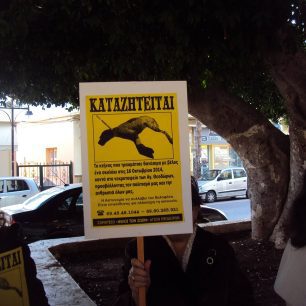 Διαμαρτυρήθηκαν για την εξόντωση των αδέσποτων στους Αγίους Θεοδώρους 9 AgioiTheodoroiKorinthiasDiamartyria26 10 2014 4