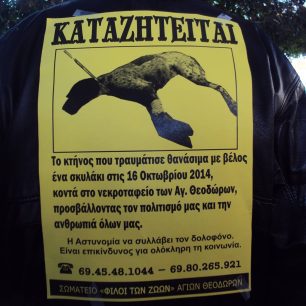 Διαμαρτυρήθηκαν για την εξόντωση των αδέσποτων στους Αγίους Θεοδώρους 10 AgioiTheodoroiKorinthiasDiamartyria26 10 2014 5