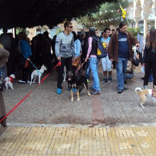 Διαμαρτυρήθηκαν για την εξόντωση των αδέσποτων στους Αγίους Θεοδώρους 2 AgioiTheodoroiKorinthiasDiamartyria26 10 2014 6