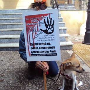 Διαμαρτυρήθηκαν για την εξόντωση των αδέσποτων στους Αγίους Θεοδώρους 6 AgioiTheodoroiKorinthiasDiamartyria26 10 2014 7