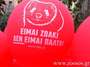 Π.Φ.Π.Ο.: Επέλαση της ματαιοδοξίας η έκθεση γούνας «Fur Excellence in Athens 2015»