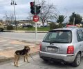 Μυτιλήνη Λέσβου: Τον είδε να σέρνει τον σκύλο με το Ι.Χ. και δεν τον κατήγγειλε στην Αστυνομία