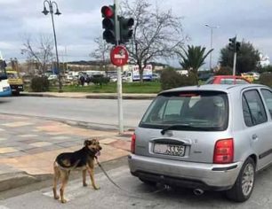 Μυτιλήνη Λέσβου: Τον είδε να σέρνει τον σκύλο με το Ι.Χ. και δεν τον κατήγγειλε στην Αστυνομία