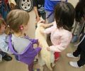 Οχτώ εκπαιδευμένα σκυλιά  «Του Χαμόγελου του Παιδιού» εντοπίζουν τα παιδιά που εξαφανίζονται
