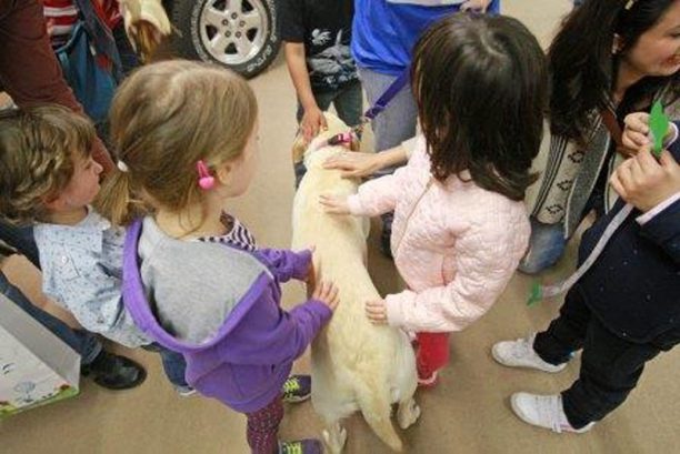 Οχτώ εκπαιδευμένα σκυλιά  «Του Χαμόγελου του Παιδιού» εντοπίζουν τα παιδιά που εξαφανίζονται