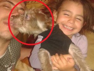 Έκκληση για τον εντοπισμό του σκύλου της 4χρονης Άννυ που δολοφονήθηκε