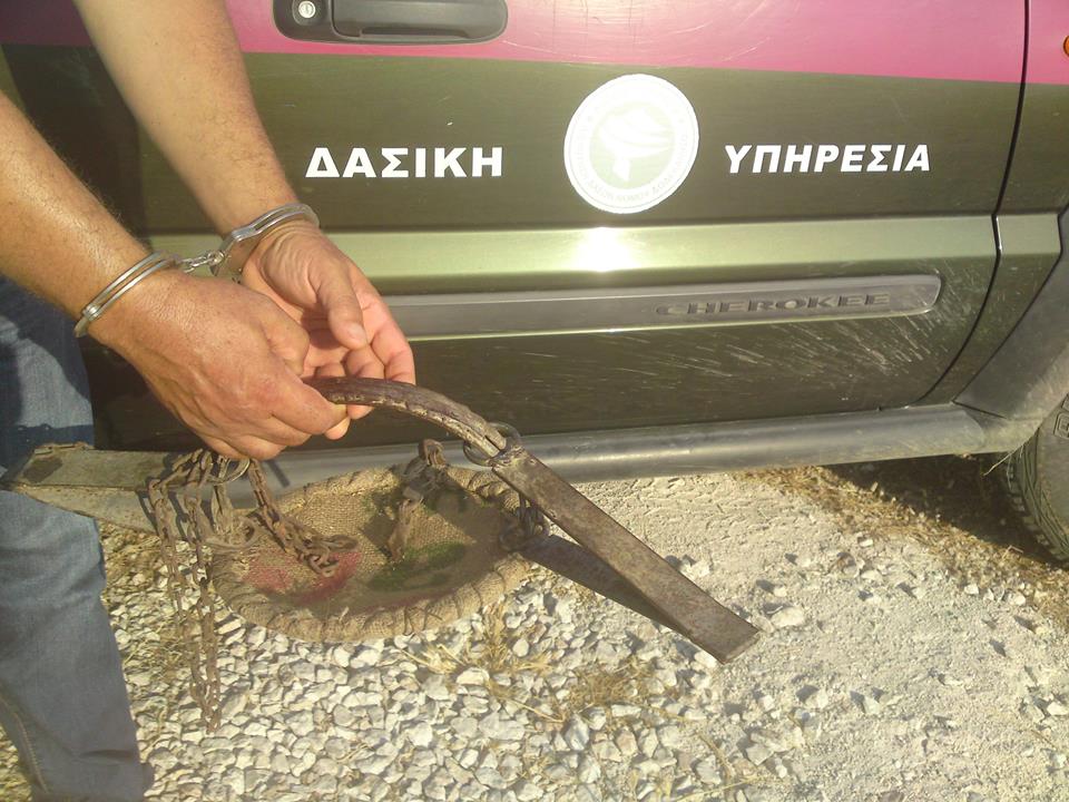 Ρόδος: Συνελήφθη επ’ αυτοφώρω να κυνηγάει παρανόμως με δόκανο 2 DokanaRodouDasofylakesDromos (1)