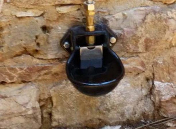 Η πρώτη ποτίστρα για τα αδέσποτα τοποθετήθηκε στην Εκάλη με καθυστέρηση ενός έτους