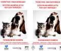 Πρόγραμμα φροντίδας αδέσποτων ζώων από τον Δήμο Μυκόνου