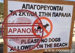 Αφαίρεσαν την παράνομη πινακίδα που απαγόρευε την παρουσία σκύλων σε παραλία της Πάρου