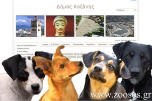 Ο Δήμος Κοζάνης εγκαταλείπει τα σκυλιά σε ερημικές τοποθεσίες καταδικάζοντας τα σε θάνατο