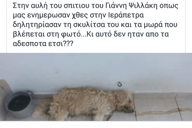 Ιεράπετρα: Δηλητηρίασαν στην αυλή του σπιτιού του την σκυλίτσα με τα κουτάβια της