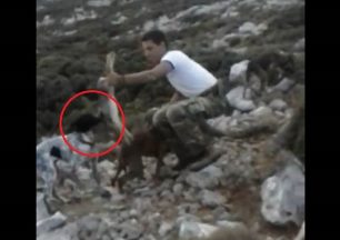 Κυνηγός από τη Σητεία βασανίζει λαγό για να εκπαιδεύσει τα σκυλιά του (βίντεο)
